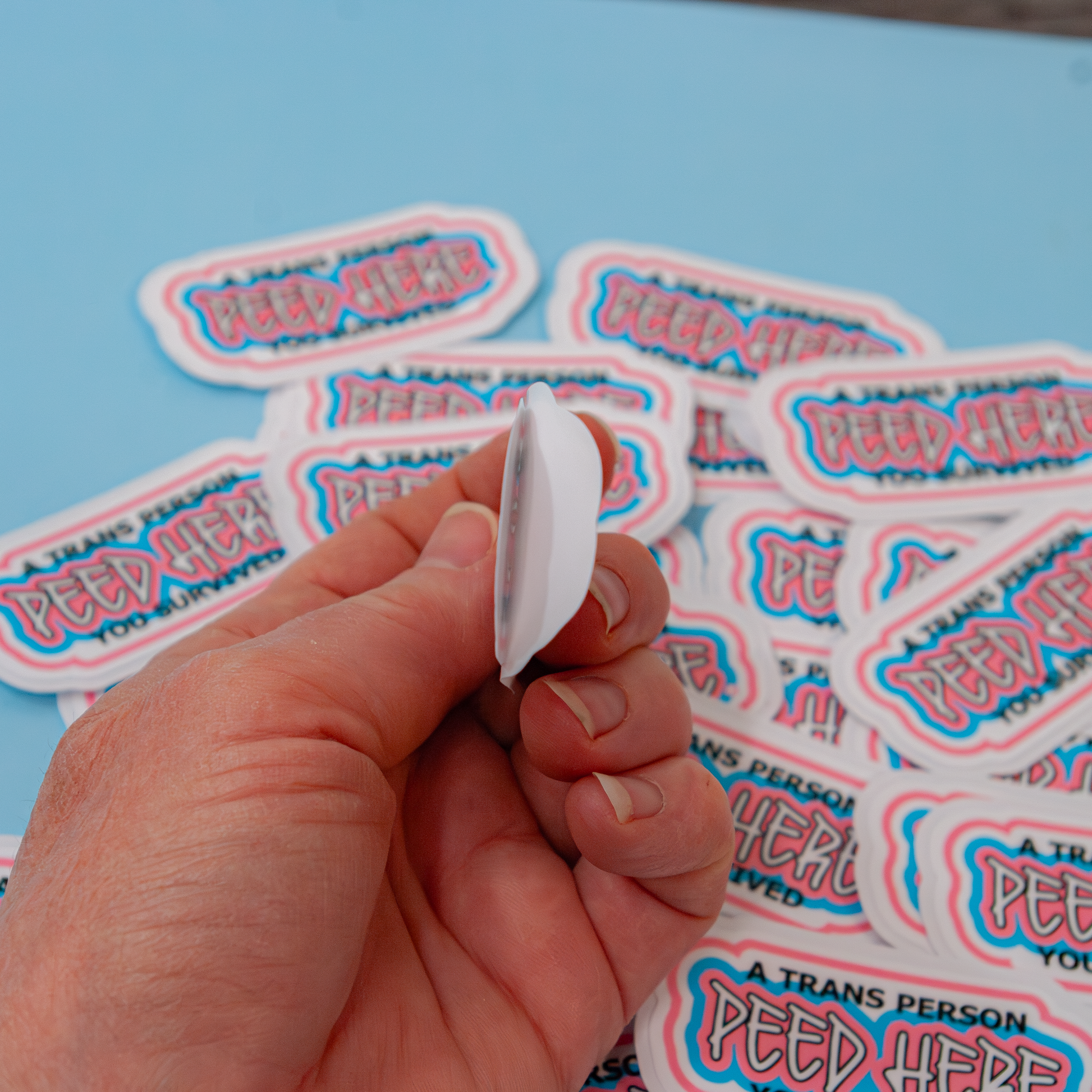 Sticker sample Transgender Pink and Blue