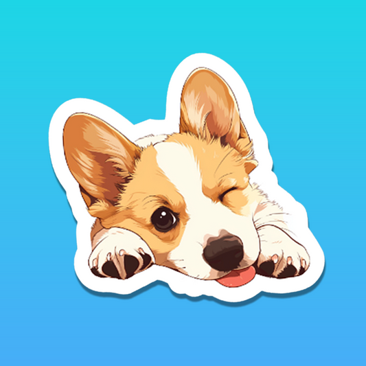 Cute Corgi wink