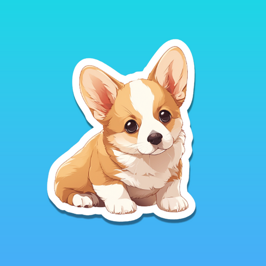 Adorable Corgi puppy