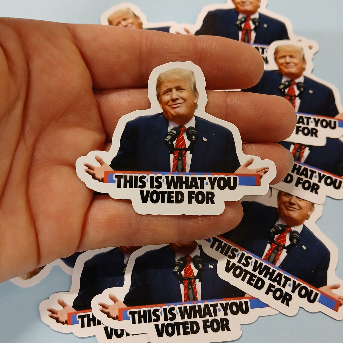 "This is what you voted for"