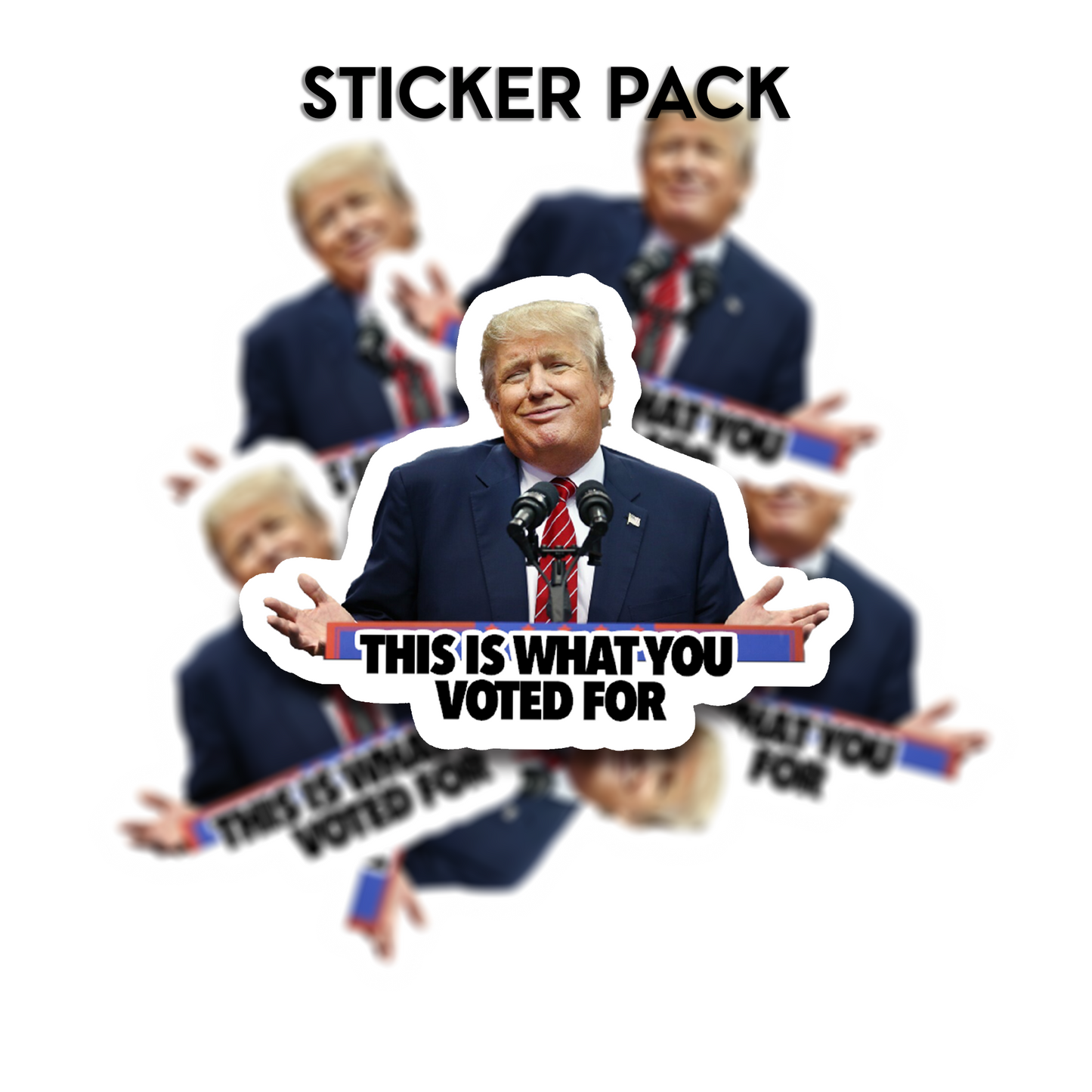 "This is what you voted for"